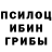 Псилоцибиновые грибы мицелий Stalooo saaa