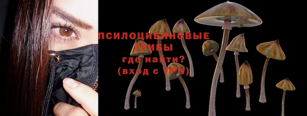 винт Армянск